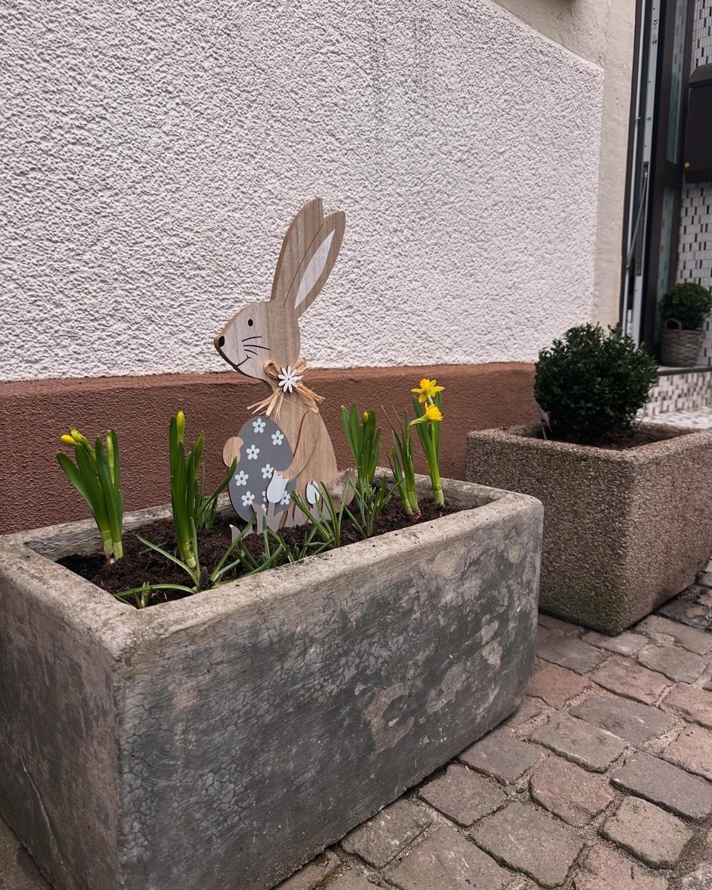 Ferienwohnung Am Berg Bad Bergzabern Kültér fotó